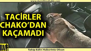 Arabanın ön kapısına zulalanan uyuşturucu maddesi Chako’ya yakalandı