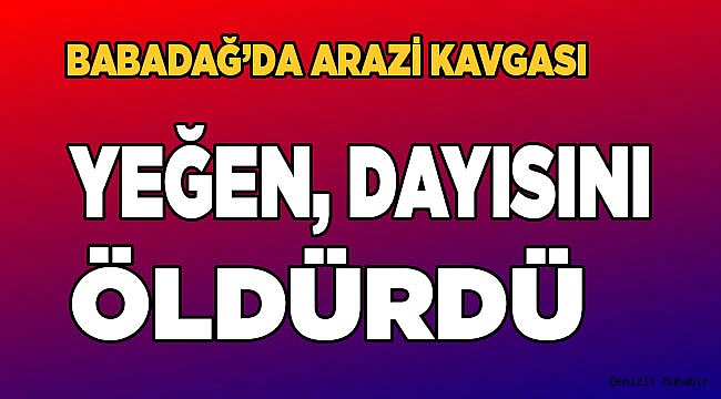 Babadağ'da yeğen, dayısını vurdu