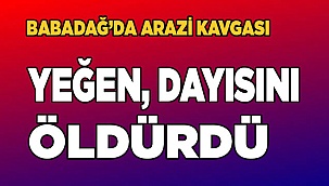 Babadağ'da yeğen, dayısını vurdu