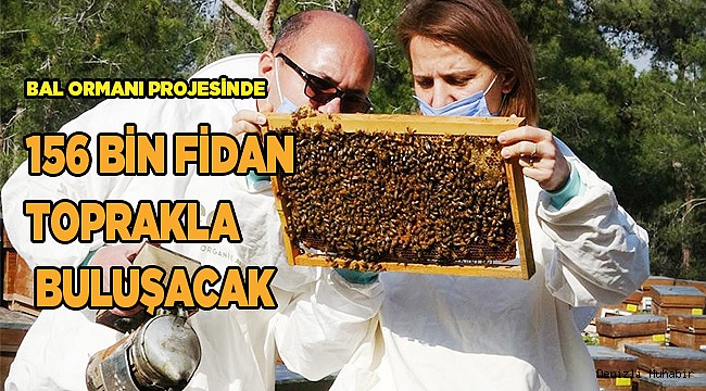 Bal ormanı projesinde 156 bin fidan toprakla buluşacak