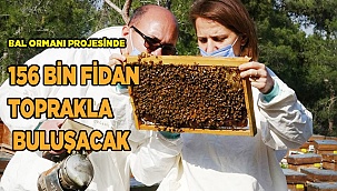 Bal ormanı projesinde 156 bin fidan toprakla buluşacak
