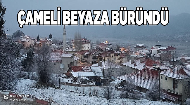 Çameli beyaza büründü