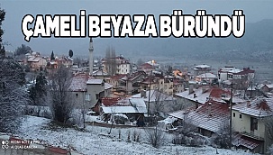 Çameli beyaza büründü