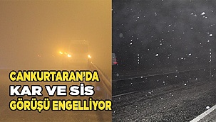 Denizli-Antalya karayolunda etkili olan kar ve sis ulaşımı olumsuz etkiledi