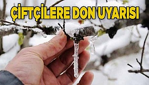 Denizli’de zirai dona karşı üreticiler uyarıldı