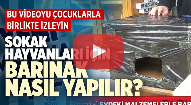Evdeki malzemelerle sokak hayvanları için barınak nasıl yapılır?