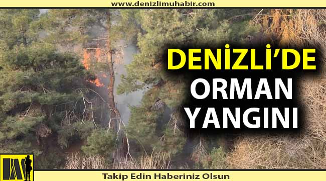 Bahar ayında orman yangını
