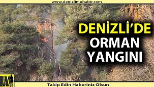 Bahar ayında orman yangını