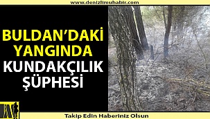 Kundakçı olduğu iddia edilen bir kişi gözaltına alındı