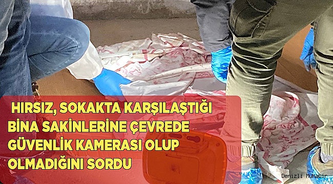 Rahatlıkta sınır tanımayan hırsız...