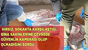Rahatlıkta sınır tanımayan hırsız...