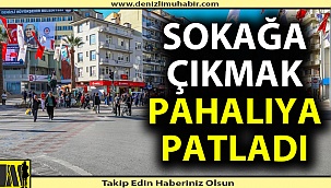 Sokağa çıkma kısıtlamasına uymayanlara ceza yağdı