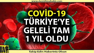 Türkiye'de ilk korona virüs vakasının görülmesinden bu yana tam 1 yıl geçti