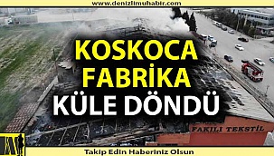 Yanan fabrikadan geriye enkaz kaldı