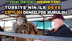 3 deveyle başladı, şimdi çiftlik kurdu
