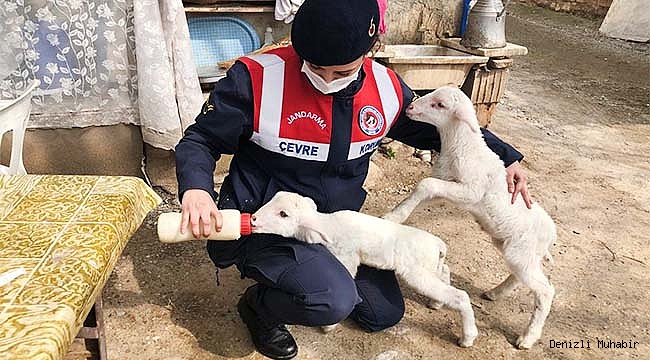 Annelerini kaybeden kuzulara jandarma şefkati