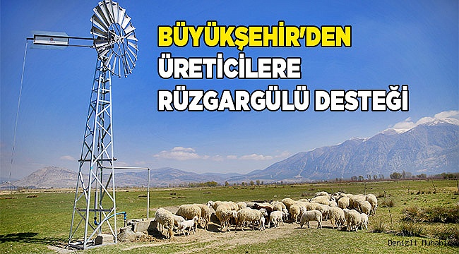 Büyükşehir'den üreticilere rüzgargülü desteği