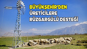 Büyükşehir'den üreticilere rüzgargülü desteği