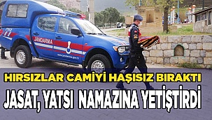 Caminin değerli halılarının tamamını çaldılar
