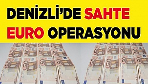 Çeteye eş zamanlı operasyon: 4 gözaltı