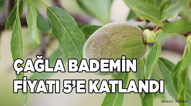 Çiçeği dalında don vurdu, çağla bademin kilosu fırladı