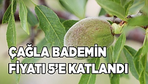 Çiçeği dalında don vurdu, çağla bademin kilosu fırladı