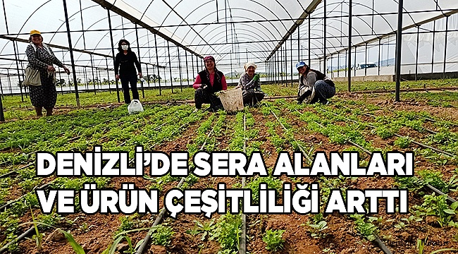 Denizli’de sera alanları ve ürün çeşitliliği arttı