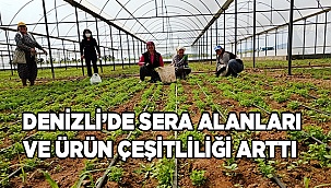 Denizli’de sera alanları ve ürün çeşitliliği arttı