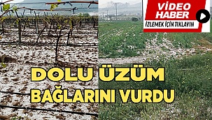 Güneşten sonra dolu, üzüm bağlarını vurdu