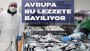 Hiç tütsülenmiş balık yediniz mi?