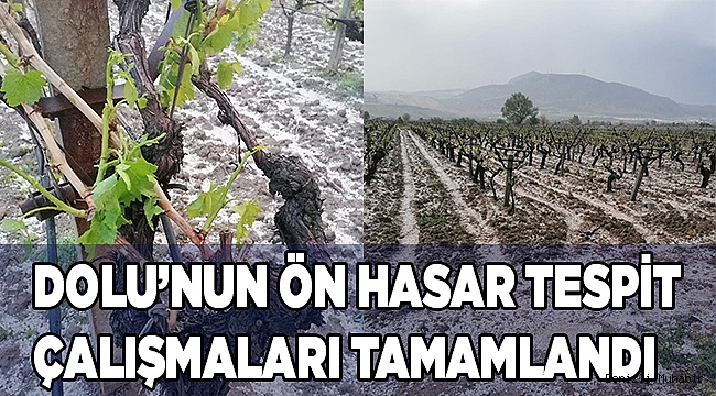 Honaz ve Serinhisar’da ön hasar tespit çalışmaları tamamlandı