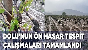 Honaz ve Serinhisar’da ön hasar tespit çalışmaları tamamlandı