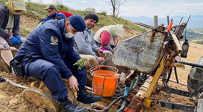 Jandarma yorulan çiftçinin yerine kekik dikimi yaptı