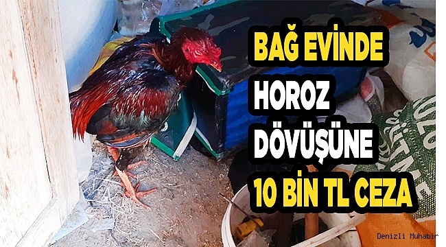 Kaçmaya çalışırken 2 kişi yakalandı