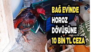 Kaçmaya çalışırken 2 kişi yakalandı