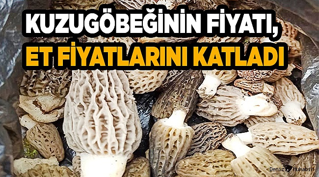 Kuzugöbeğinin fiyatı, et fiyatlarını katladı