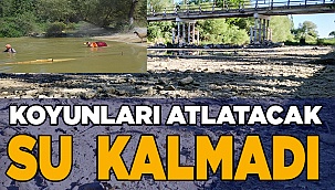 8 asırlık gelenek, bu yıl riskli