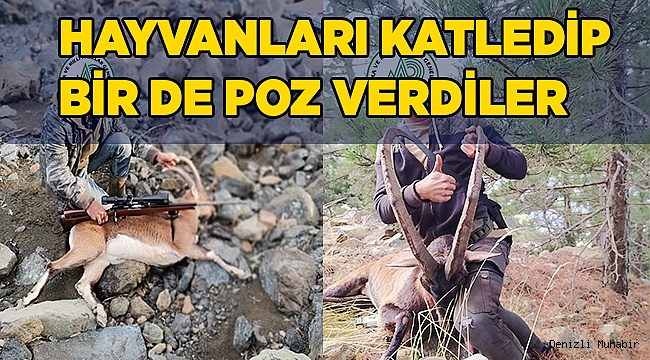 Avlanması yasak olan hayvanları vurdular