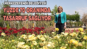 Belediye kendi ürettiği çiçeklerle tasarruf sağlıyor