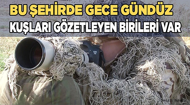 Bu şehirde gece gündüz kuşları gözetleyen birileri var