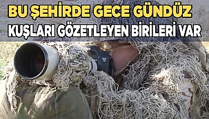 Bu şehirde gece gündüz kuşları gözetleyen birileri var