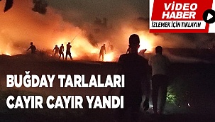 Buğday tarlaları alevlere teslim oldu