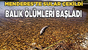 Büyük Menderes Nehri'nde kuraklıktan dolayı kuruma tehlikesi baş gösterdi