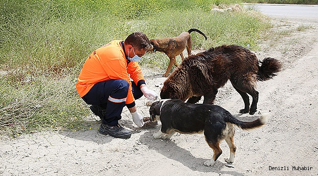Büyükşehir can dostları unutmadı