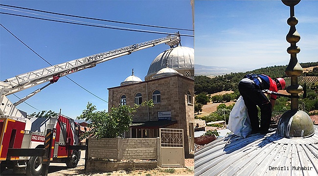 Caminin kubbesindeki leylekleri itfaiye kurtardı