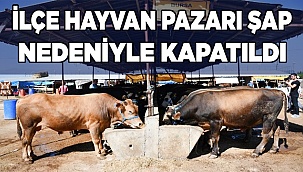 Canlı hayvan pazarı şap nedeniyle kapatıldı