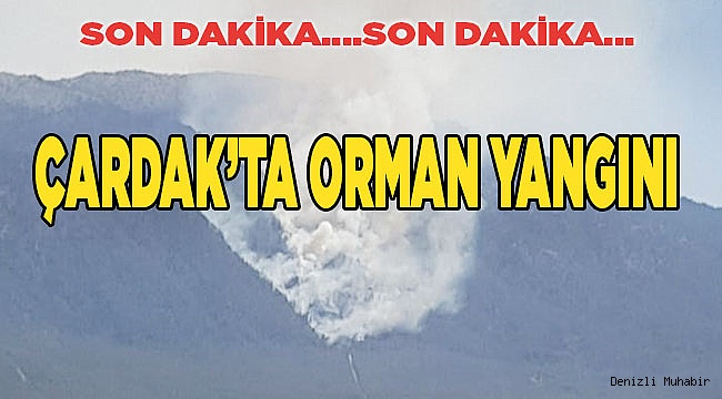 Çardak’ta orman yangını