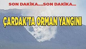 Çardak’ta orman yangını