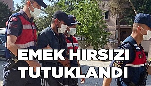 Çiftçilerin kabusu, fabrika hırsızı tutuklandı
