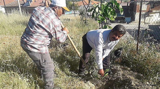 ÇİFTÇİYE GELİR KAPISI OLACAK